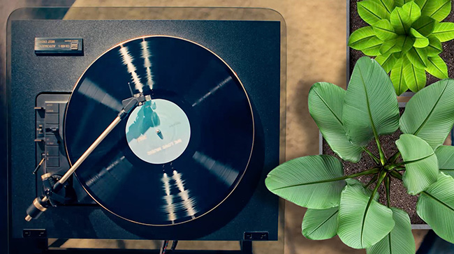 ecorecord LP sarbidemusic