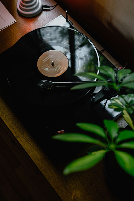 ecorecord-LP ventajas